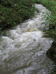 flowing stream